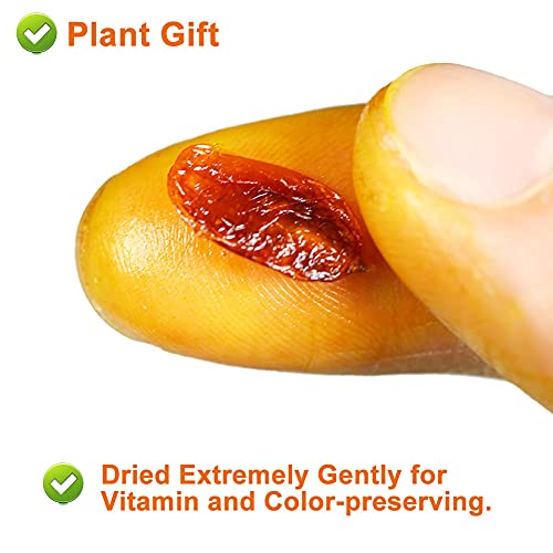 Plant Gift PlantGift Dried Sea Buckthorn Berries 120G Whole Berries,Dried Extremely Gently, No Additives, High B12 Content , Organic Dried Fruit, 2.82 ounces, 1.0 gram