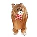 SM SunniMix Mignon Pomeranien Poméranien Poméranien Figure Ornement Animaux Peluche Peluche