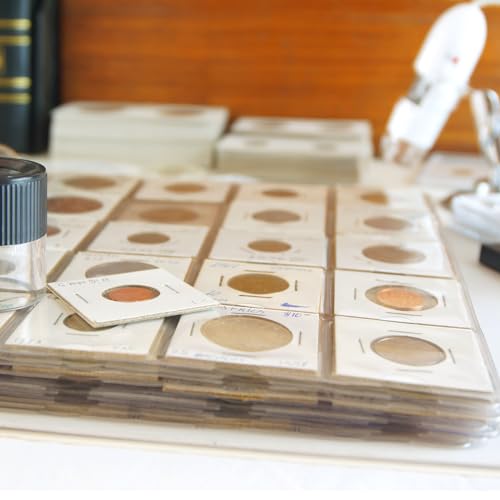Caja organizadora para monedas YOKIVE de 10 piezas miniatura 5