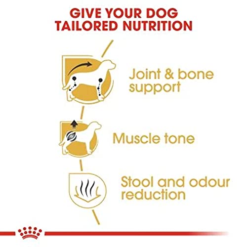 Royal Canin Dachshund 28 Adult Hundefutter 7.5 kg, 1er Pack (1 x 7.5 kg)