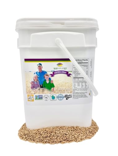 WHEATLAND Hard White Wheat Berries 25 lb