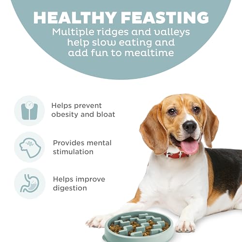 Outward-Hound-Fun-Feeder-Slo-Bowl