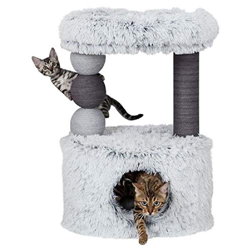 اقتراح بيت الطريق يكون Arbre A Chat Exterieur Amazon Onlinestudien Org