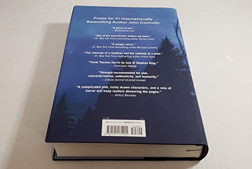 The Woman in the Woods: a Thriller: Volume 16