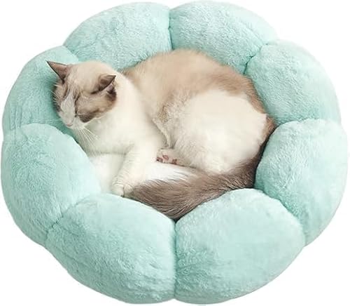 ybg xbh  NbV ۂ`̌Lpxbh  ӂӂ  Ԍ^ g Eh ӂӂ Q ې􂢉 ^ L p t[lXgLbgK[htŖѕzt ~ h \t@ ybgpi