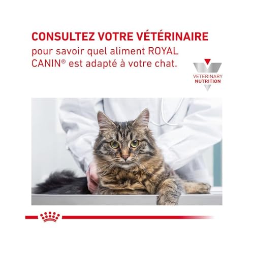Royal Canin Gastro Intestinal Fibre Response | 12 x 85 g | Diät-Alleinfuttermittel für Adulte Katzen | Für Katzen mit chronischer Verstopfung oder ähnlichen Magen-Darm-Problemen