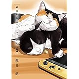 猫暮らしのゲーマーさん（６） (少年サンデーコミックススペシャル)