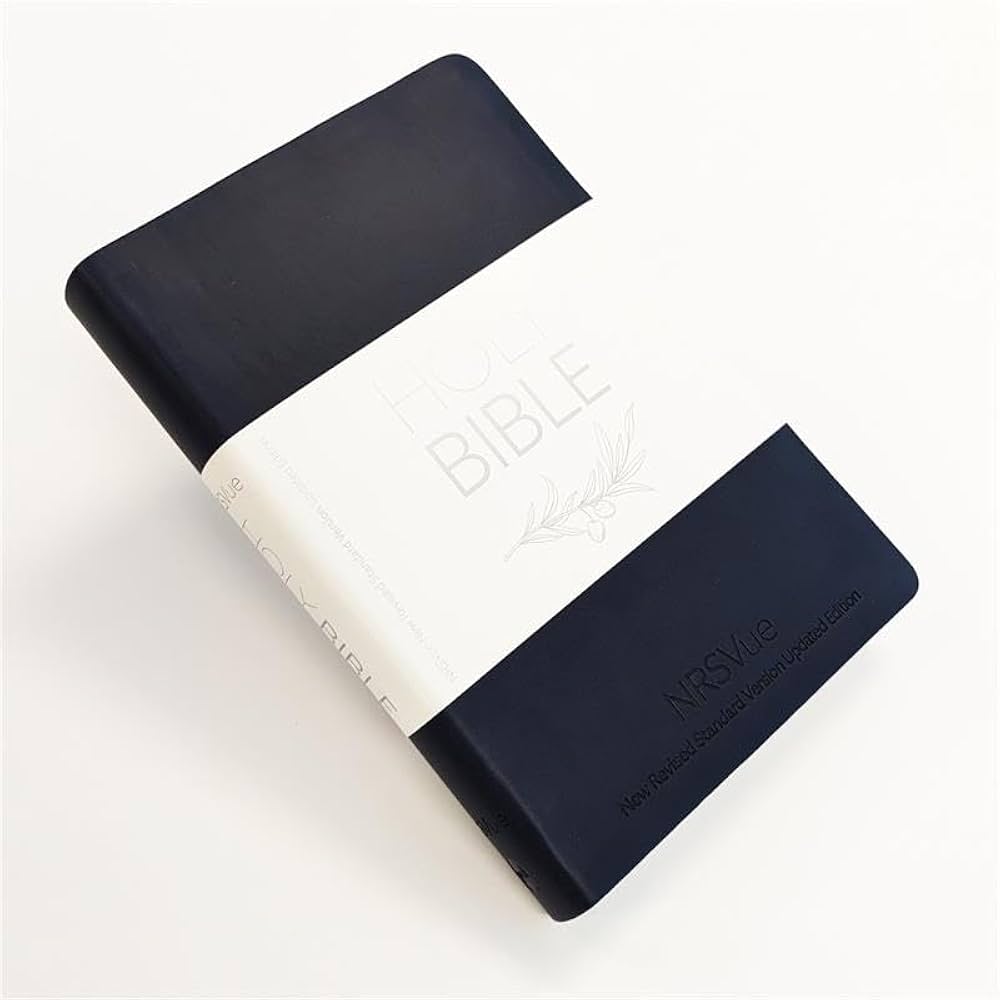 洋書 HOLY BIBLE NEW REVISED STANDARD VERSION NRSV New Revised Standard Version Bible – Bibles.com, An