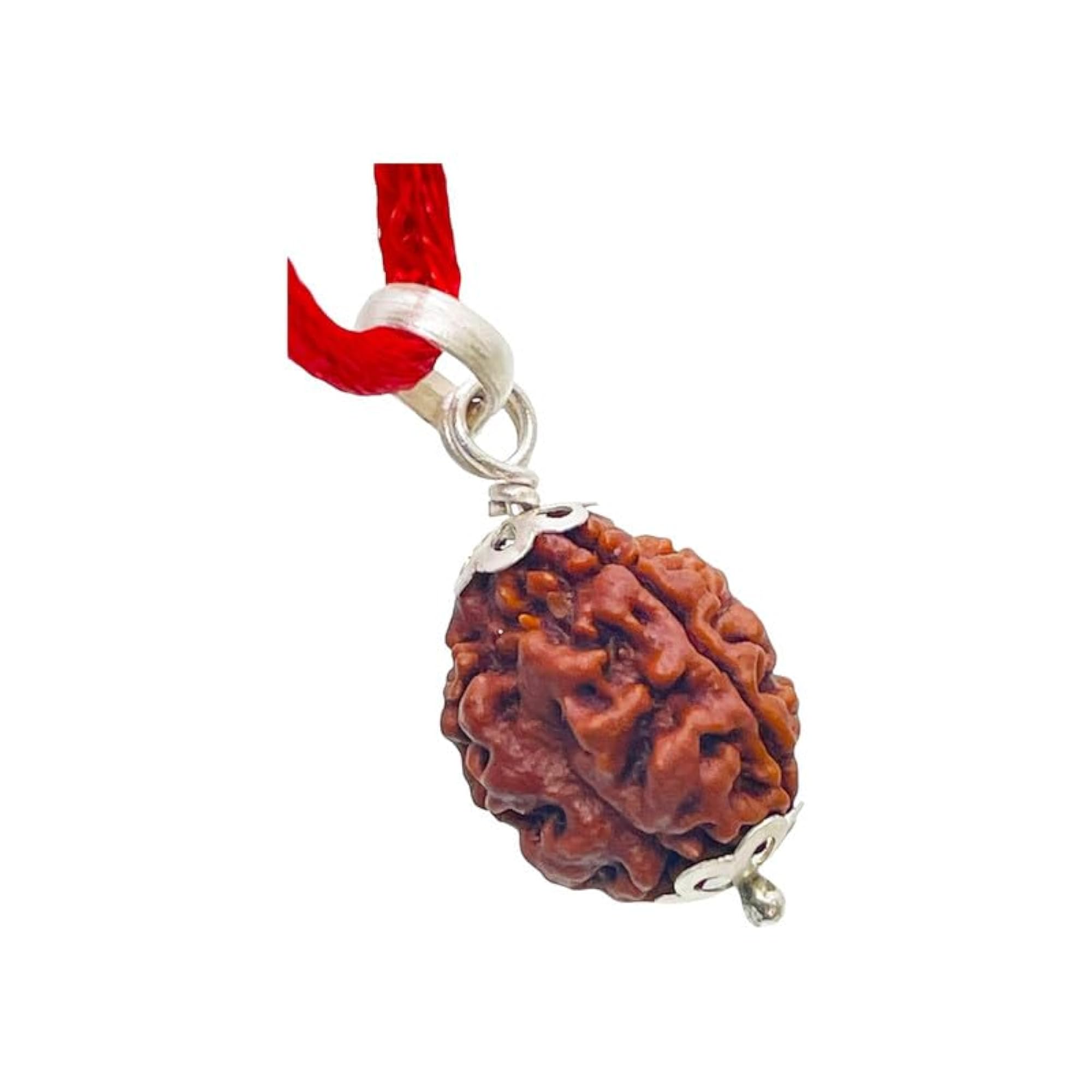 3 Mukhi Rudraksha Nepali Original Certified Holy Beads
