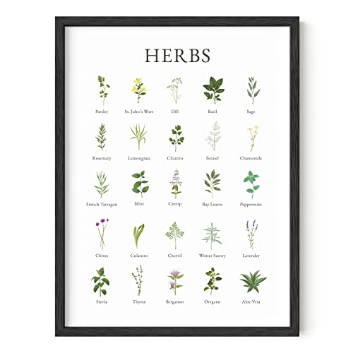 HAUS AND HUES Herb Pictures for Kitchen Wall Art Kitchen Herbs Wall Art and Botanical Prints Herbs Art Cottage Core Decor (12' x 16', UNFRAMED)