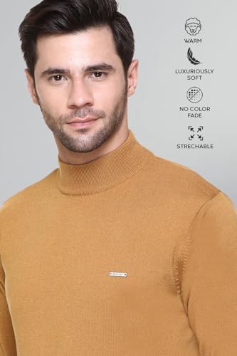 Image of GODFREY Woolen Full Sleeve Sweaters for Men Winter Wear - Turtle Neck Pullover for Men Stylish
