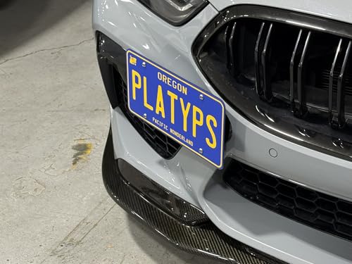 Image of CravenSpeed Platypus License Plate Mount Compatible with BMW 8-Series Coupe /Gran Coupe /Alpina B8 2019-2026 [G14 /G15 /G16 /F91 /F92] | No Drilling | Installs in Seconds | Made in USA