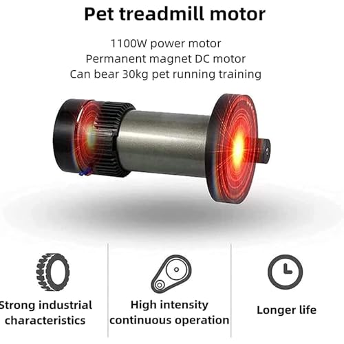 Dog comfortably using treadmill with LED display