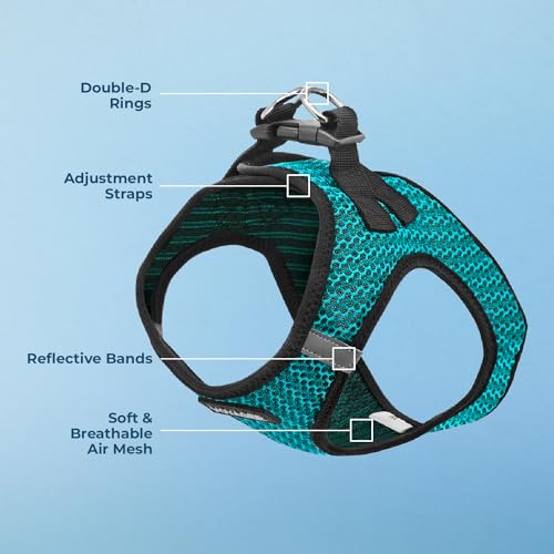 Image of Best Pet Supplies Voyager Step-in Air Harness - All Weather Mesh, Reflective, No Pull Harness for Dogs, Cats - Secure with Hook & Loop Fastener, Buckle, Double D-Rings - Turqupise 2-Tone, S