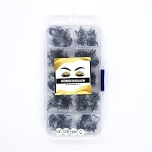 10D Lashes. 1000 Premade Volume Fans. Eyelash Extensions. Handmade! 10D 005 Curl C, 11mm