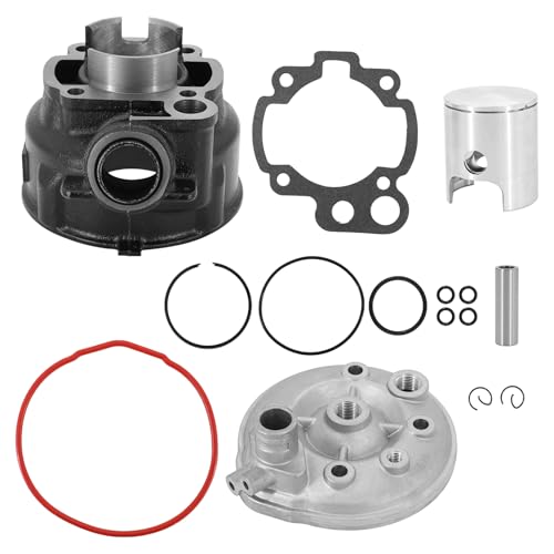 Dokili Zylinder Kit 70ccm inkl. Zylinderkopf LC wassergekühlt für Minarelli Motoren, AM 2, 3, 4, 5, 6, Aprilia RS, Beta RR 50, Malaguti XSM, Motorhispania Furia, Peugeot XP6, Rieju MRX, Sherco EN 50