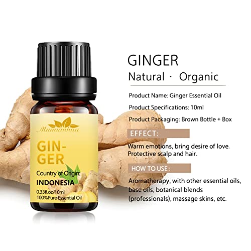 Ginger Essential Oil Mumianhua Ginger Massage Oil Pure Ginger Aromatherapy Oil Ginger Oil For Hair Growth, Diffuser, Soap Making, Belly Fat, Skin-10Ml #TOP2
