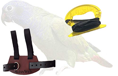 Avianweb Pionus Bird Harness (Also fits Small Macaws/Cockatoos and Large ...