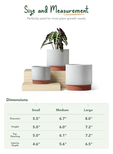 Image of LE TAUCI Ceramic Pots for Plants, 8+6.7+5.5 Inch Plant Pots Indoor, Flower Pot with Drainage Holes, Medium Cylinder Planters for Indoor House Plants, Set of 3, Reactive Glaze White