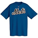 MLB New York Mets Official Wordmark Short Sleeve T-Shirt (Large)