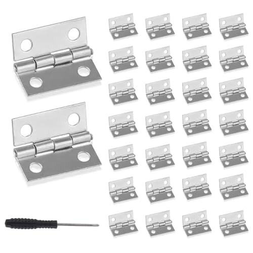 Roosea Mini Charnières 30 pièces charnière boite à bijoux 25*24*0.8mm petites charnieres charniere inox pour travaux manuels,petites boîtes à bijoux,maisons de poupées avec tournevis et 120 vis à bois