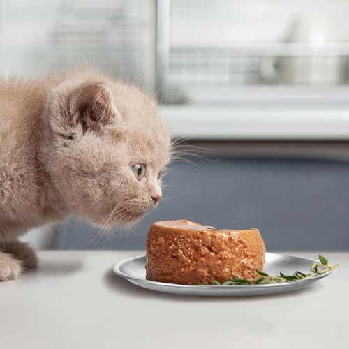 6 Stück Katzennapf Flach, Edelstahl Futternapf Katze Flach, Fressnapf Katze, Katzenteller, Katzennapf Edelstahl, Katzenschüssel, Katzenfressnapf Flach für Fallfest und Leicht zu Reinigen