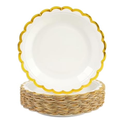 Assiettes jetables DHAIQC 23cm Cover