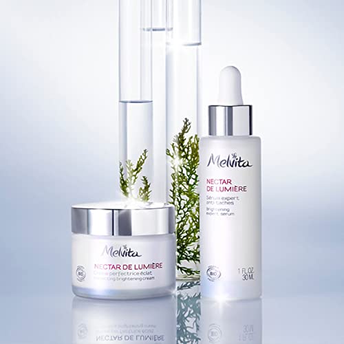 Melvita Nectar de Lumière Sérum Expert Anti Taches Bio 30ml - vue 7