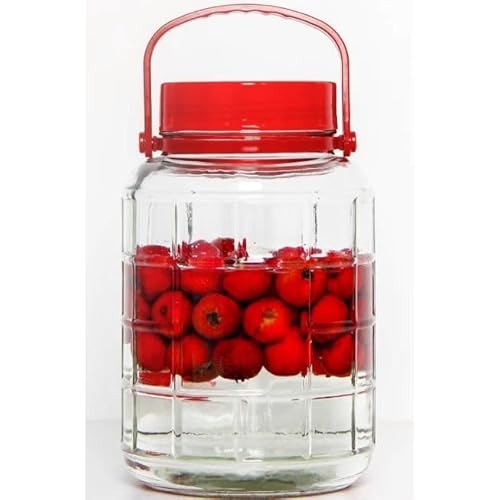 RAJANI 10L Glass Jar with Red Lid Handle Durable Food Storage Easy Pour Multi Purpose Container Kitchen Plastic Utensils Tin Canister