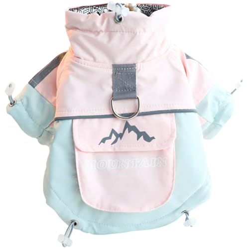 Morycat  H~ wJ nCJbg _ExXg h g cJ WPbg  hbOEFA  ȕ m Uo ^ (sN,XS)