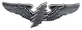 Grateful Dead® Lightning Bolt Small Pilot Wing Pin