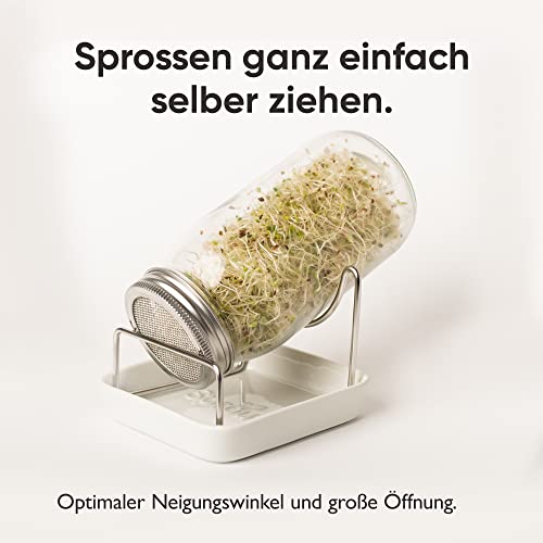 SPROUTY | Sprossenglas Keimglas Set inkl. 2X Sprossensamen |2X Keimglas + 2X Sprossensamen + Sprossen ABC | Sprossen Anzuchtset… - Image 4