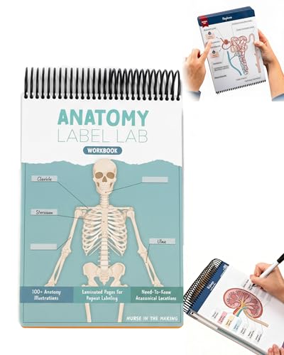 Thrivenget Anatomy Label Workbook, 100+ Full-Color Dry-Erase Pages, Creative Human