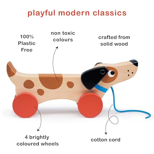 Image of Mentari Toys - Puppy on Wheels - Wooden Dog Pull Toy for Toddler Walking for 18M+ Boys and Girls - Sustainable Rubberwood - Educational Motor Skills & Imaginative Play - Gift for Preschoolers