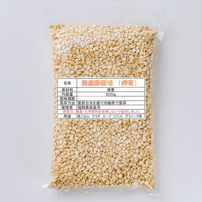 yORECz _͔|  (500g) _͔|  v۔_ BY Y    _sgp Y i` RH H@ _CGbg   Y  ͂ނ ͂ C`o{V 500g