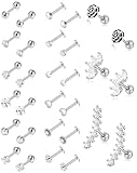 Tornito 30Pcs Cartilage CZ Stud Earrings Conch Forward Helix Tragus Daith Piercing Lip Rings Snake Heart Butterfly Jewelry for Women Men 16G Silver Gold Tone (B2:30Pcs, Gold Tone)