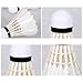 12 Pcs Shuttlecocks, Professional Badminton Shuttlecock Lightweight Training Sport Badminton Balls High Speed Badminton Birdies