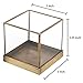 MyGift 5 inch Glass Plant Terrarium, Lidded Shadow Box w/Vintage Brass Frame