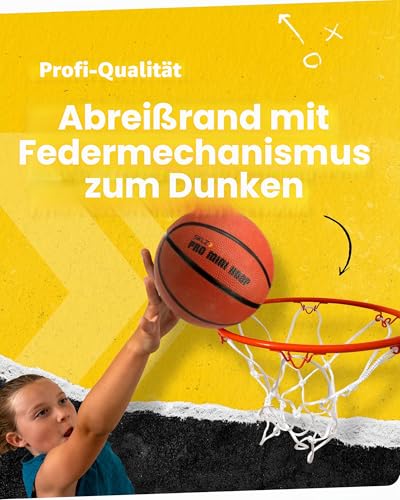 SKLZ Pro Mini-Basketballkorb, transparente, bruchsichere Rückwand, rückfedernde Kante, robustes Netz und 12,7 cm Ball, gepolsterte Türhalterungen zum Aufschieben, für Büro, Wohnheim, 45,7 x 30,5 cm