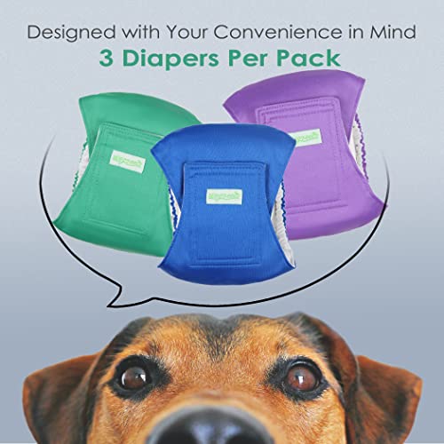 Image of wegreeco Washable Dog Diapers - Washable Male Dog Belly Wrap- Pack of 3 - (Blue,Green,Purple,XX-Large)