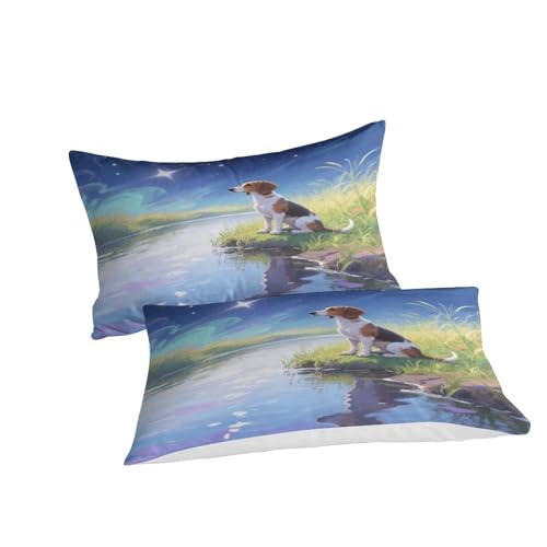 Housse de couette zippée Teckel 3D 140x200 parure lit microfibre