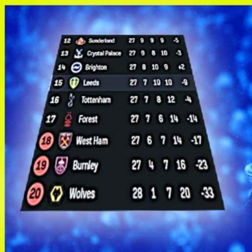 Leeds United Survival - A positive Weekend