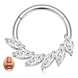 hengkaixuan 16G Anillo de tabique de titanio para tabique, clicker, anillo para la nariz, piercing daith, joyería Rook Tragus Snug Helix Conch Kílago Pendientes de aro para mujeres con circonita