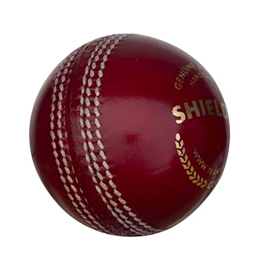 Image of SG Cricket Balls Shield 20*(Red), Leather