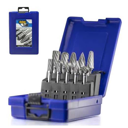 10pcs Tungsten Carbide Burrs Set for Grinding