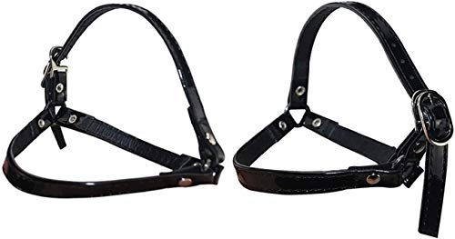 [Hooggle] V[YXgbv z[h pvXxg Eh~ V[Yxg ANZT[ \ tBbg  1iE1gj ubN/Gi