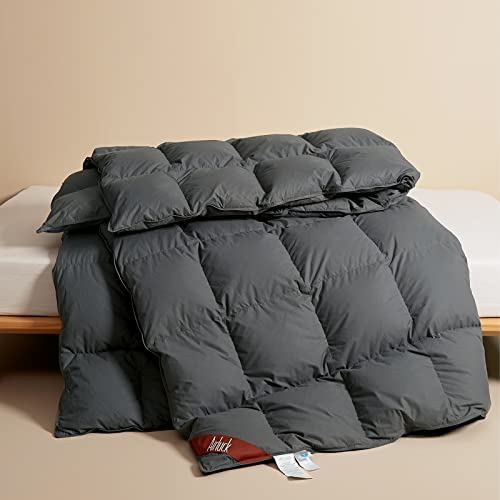 Airluck Edredón de plumas de lujo tamaño Queen matrimonial, relleno de plumas y plumón, edredón de cama gris invierno, relleno de edredón esponjoso de 90 x 90 pulgadas, funda de poliéster de algodón