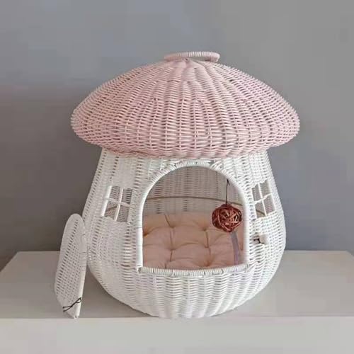 ҂ L  ybgnEX كxbh ^ L ҂ LmR^ u₩ ϊ ҂  ʋC ܂Ƃ VRf  z[ ΍ 킢 xe hAt ʔN 50*50*50cm