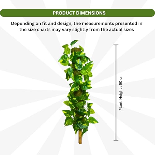 Image of fancymart Artificial Leaves Vine on Moss Stick 60 cm (Without Pot) | Decorative Indoor Plant for Home, Office, Cafe & Restaurant