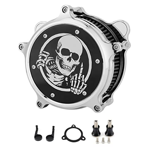 Skull Style Air Cleaner Kit
